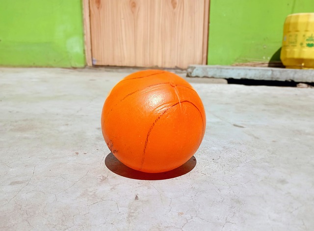 湖人队的命 湖人队的命