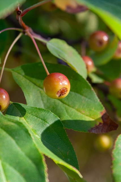 的比赛形势 的比赛形势
