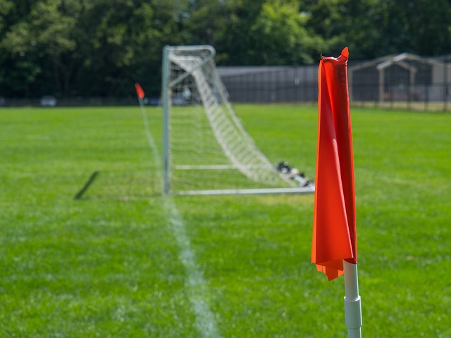 年的欧冠赛 年的欧冠赛