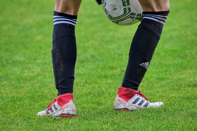 都呈现出 都呈现出