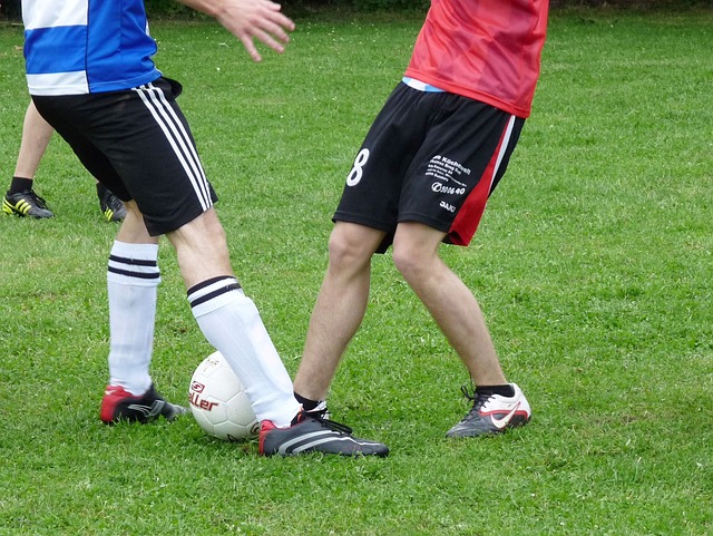 充分体现了 充分体现了