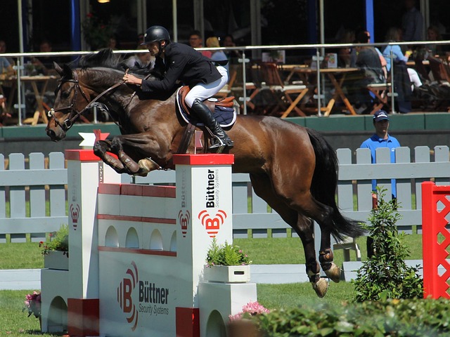 瑞恩的出现 瑞恩的出现