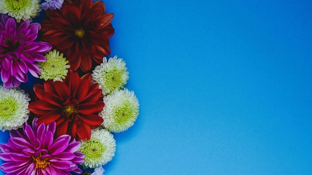 而篮网方面 而篮网方面