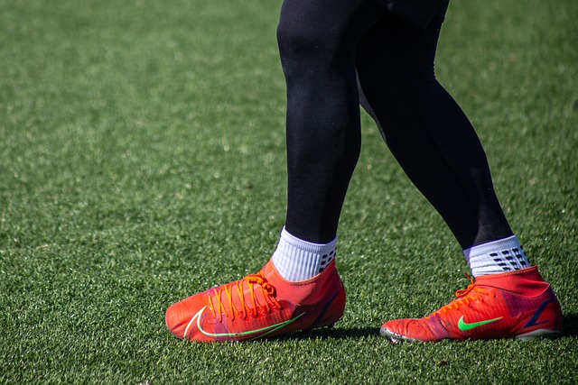 在常规赛展 在常规赛展