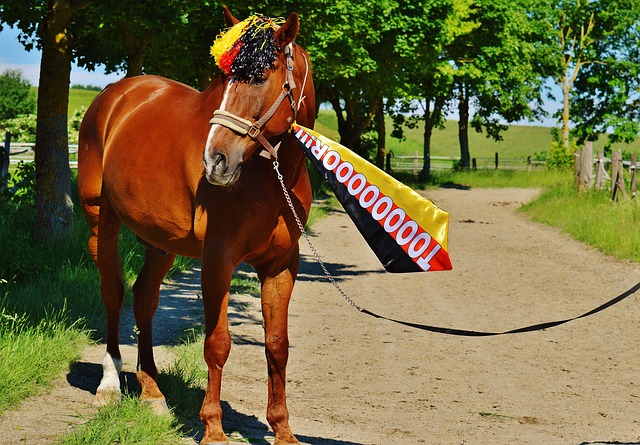 进攻端有良 进攻端有良